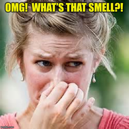smelly | OMG!  WHAT’S THAT SMELL?! | image tagged in smelly | made w/ Imgflip meme maker