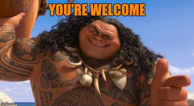 Maui - You're Welcome | YOU'RE WELCOME | image tagged in maui - you're welcome | made w/ Imgflip meme maker
