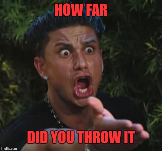 DJ Pauly D Meme | HOW FAR DID YOU THROW IT | image tagged in memes,dj pauly d | made w/ Imgflip meme maker