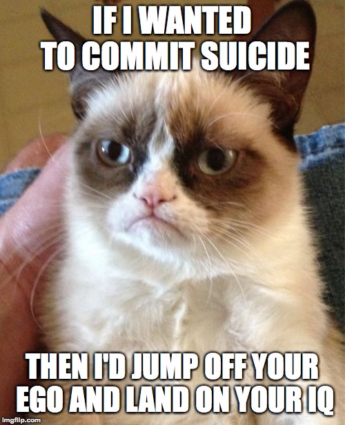 Grumpy Cat | IF I WANTED TO COMMIT SUICIDE; THEN I'D JUMP OFF YOUR EGO AND LAND ON YOUR IQ | image tagged in memes,grumpy cat,funny,cats,ego,iq | made w/ Imgflip meme maker