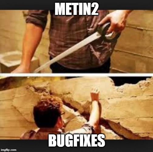 Trying to fix my grades | METIN2; BUGFIXES | image tagged in trying to fix my grades | made w/ Imgflip meme maker