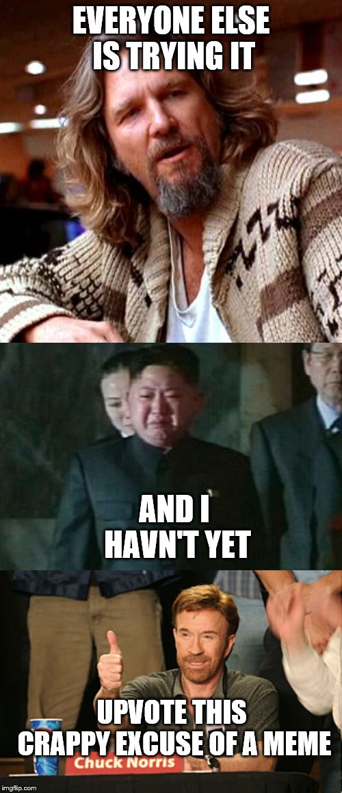 EVERYONE ELSE IS TRYING IT; AND I HAVN'T YET; UPVOTE THIS CRAPPY EXCUSE OF A MEME | image tagged in memes,chuck norris approves,confused lebowski,kim jong un sad | made w/ Imgflip meme maker