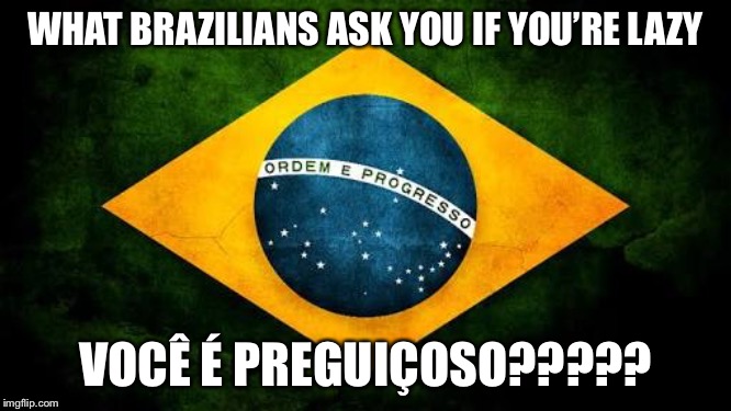 Brazil flag | WHAT BRAZILIANS ASK YOU IF YOU’RE LAZY; VOCÊ É PREGUIÇOSO????? | image tagged in brazil flag,memes,lazy | made w/ Imgflip meme maker