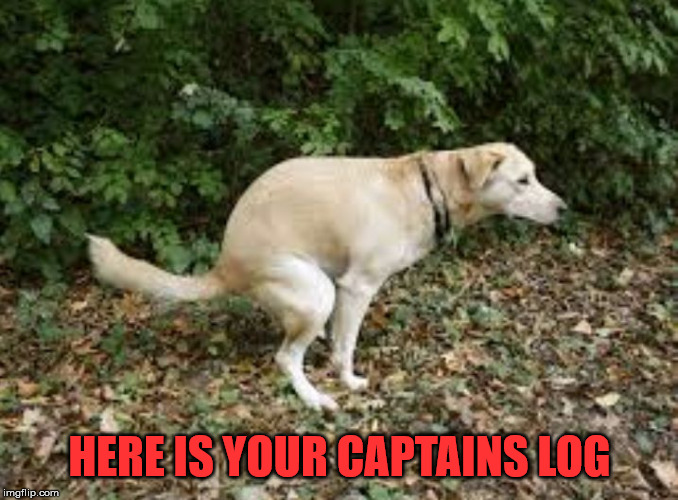 Dog pooping  | HERE IS YOUR CAPTAINS LOG | image tagged in dog pooping | made w/ Imgflip meme maker