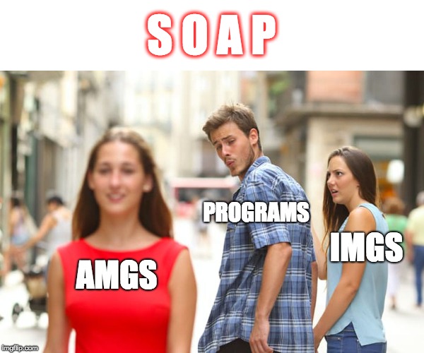 PROGRAMS IN THE SOAP (AND REGULAR MATCH) BE LIKE... | S O A P; PROGRAMS; IMGS; AMGS | image tagged in memes,distracted boyfriend | made w/ Imgflip meme maker