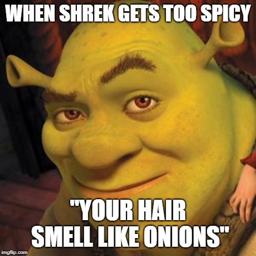 Shrek Sexy Face | WHEN SHREK GETS TOO SPICY; "YOUR HAIR SMELL LIKE ONIONS" | image tagged in shrek sexy face | made w/ Imgflip meme maker