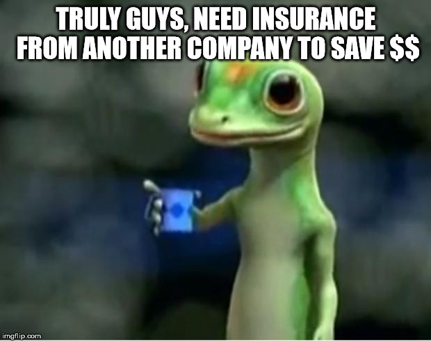 Geico Gecko | TRULY GUYS, NEED INSURANCE FROM ANOTHER COMPANY TO SAVE $$ | image tagged in geico gecko | made w/ Imgflip meme maker