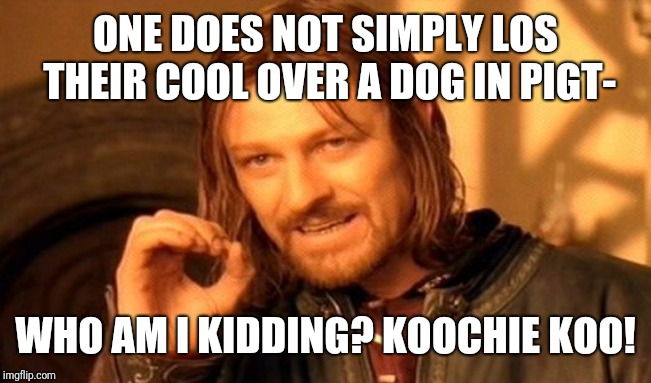 One Does Not Simply Meme | ONE DOES NOT SIMPLY LOS THEIR COOL OVER A DOG IN PIGT- WHO AM I KIDDING? KOOCHIE KOO! | image tagged in memes,one does not simply | made w/ Imgflip meme maker