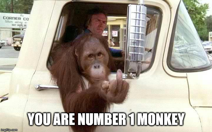 Clyde middle finger | YOU ARE NUMBER 1 MONKEY | image tagged in clyde middle finger | made w/ Imgflip meme maker