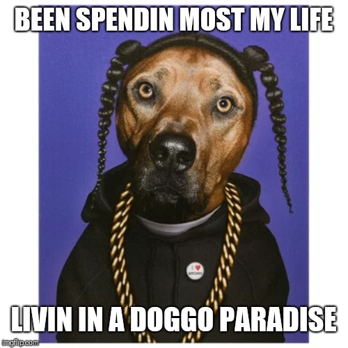 BEEN SPENDIN MOST MY LIFE; LIVIN IN A DOGGO PARADISE | image tagged in funny dogs,doggo | made w/ Imgflip meme maker