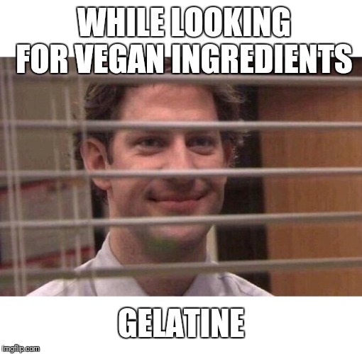 Jim Office Blinds | WHILE LOOKING FOR VEGAN INGREDIENTS; GELATINE | image tagged in jim office blinds | made w/ Imgflip meme maker