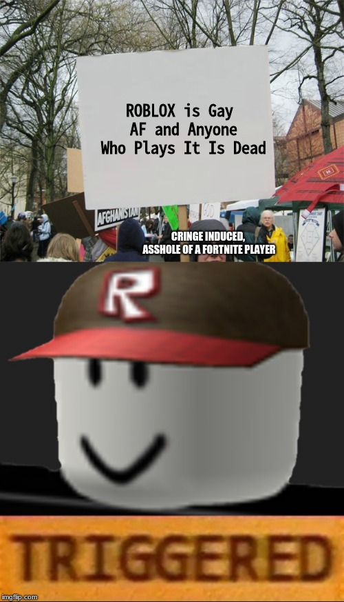 ROBLOX is Gay AF and Anyone Who Plays It Is Dead; CRINGE INDUCED, ASSHOLE OF A FORTNITE PLAYER | image tagged in blank protest sign,roblox triggered | made w/ Imgflip meme maker