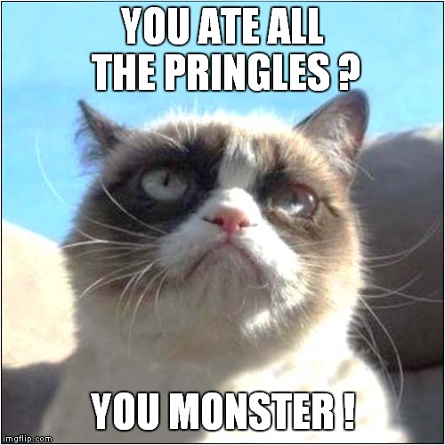 Warning: Pringles Are Addictive ! | YOU ATE ALL THE PRINGLES ? YOU MONSTER ! | image tagged in cats,grumpy cat | made w/ Imgflip meme maker