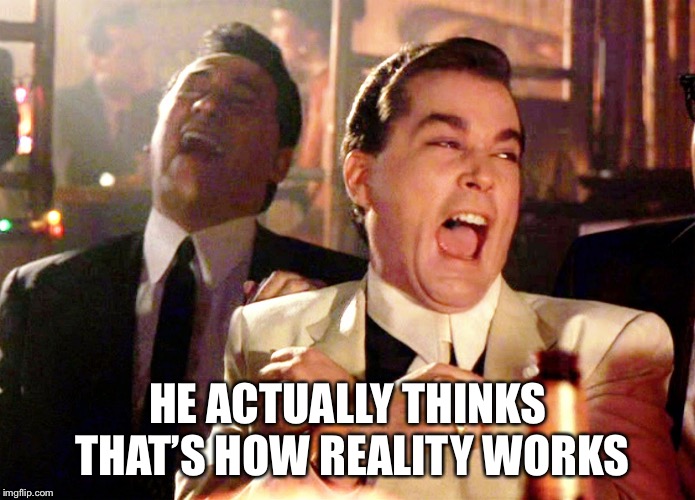 Good Fellas Hilarious Meme | HE ACTUALLY THINKS THAT’S HOW REALITY WORKS | image tagged in memes,good fellas hilarious | made w/ Imgflip meme maker