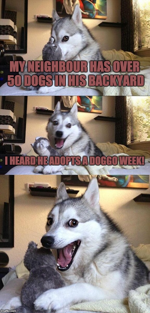 Happy Doggo Week from Bad Pun Dog!! | MY NEIGHBOUR HAS OVER 50 DOGS IN HIS BACKYARD; I HEARD HE ADOPTS A DOGGO WEEK! | image tagged in memes,bad pun dog | made w/ Imgflip meme maker