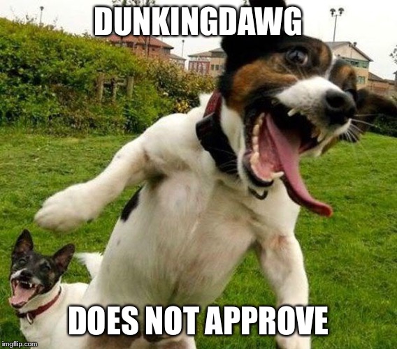 Angry Dogs | DUNKINGDAWG DOES NOT APPROVE | image tagged in angry dogs | made w/ Imgflip meme maker