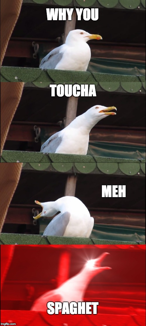 Inhaling Seagull | WHY YOU; TOUCHA; MEH; SPAGHET | image tagged in memes,inhaling seagull | made w/ Imgflip meme maker