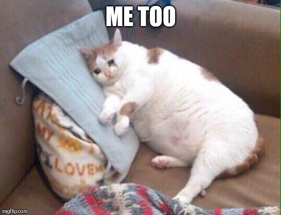 Crying cat | ME TOO | image tagged in crying cat | made w/ Imgflip meme maker