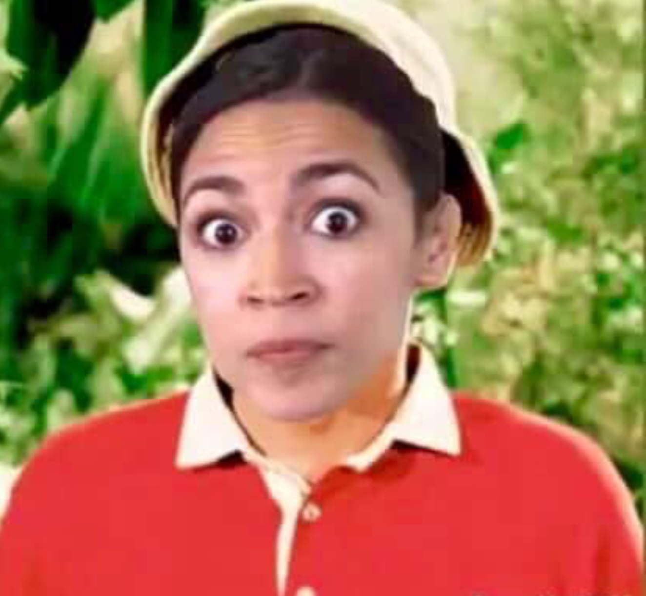 AOC Gilligan Blank Meme Template