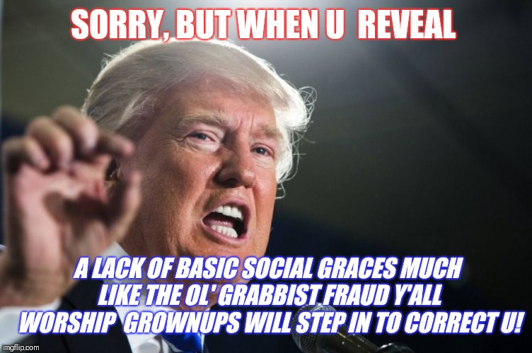 donald trump | SORRY, BUT WHEN U  REVEAL A LACK OF BASIC SOCIAL GRACES MUCH LIKE THE OL' GRABBIST FRAUD Y'ALL WORSHIP  GROWNUPS WILL STEP IN TO CORRECT U! | image tagged in donald trump | made w/ Imgflip meme maker