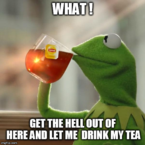 But That's None Of My Business Meme | WHAT ! GET THE HELL OUT OF HERE AND LET ME  DRINK MY TEA | image tagged in memes,but thats none of my business,kermit the frog | made w/ Imgflip meme maker