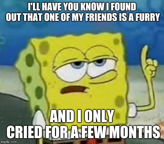 i just dont like furries, but i mean dont take this the wrong way | I'LL HAVE YOU KNOW I FOUND OUT THAT ONE OF MY FRIENDS IS A FURRY; AND I ONLY CRIED FOR A FEW MONTHS | image tagged in memes,ill have you know spongebob,furry,scary | made w/ Imgflip meme maker