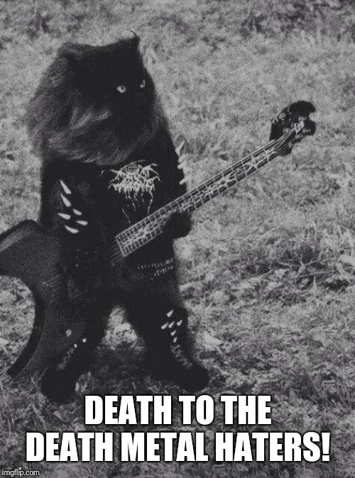 Black Metal Cat | DEATH TO THE DEATH METAL HATERS! | image tagged in black metal cat | made w/ Imgflip meme maker