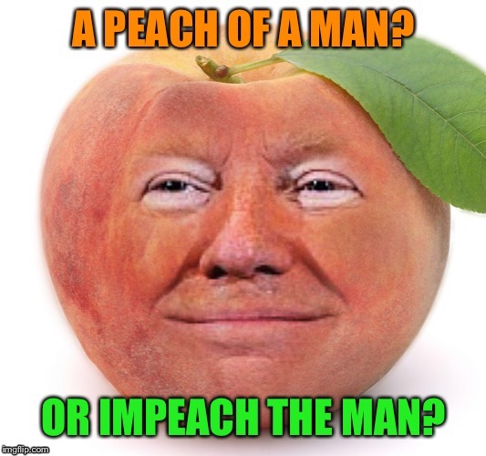He’s like Marmite, orange Marmite.  | image tagged in politics,opinions,peach,trump,one does not simply,impeach trump | made w/ Imgflip meme maker