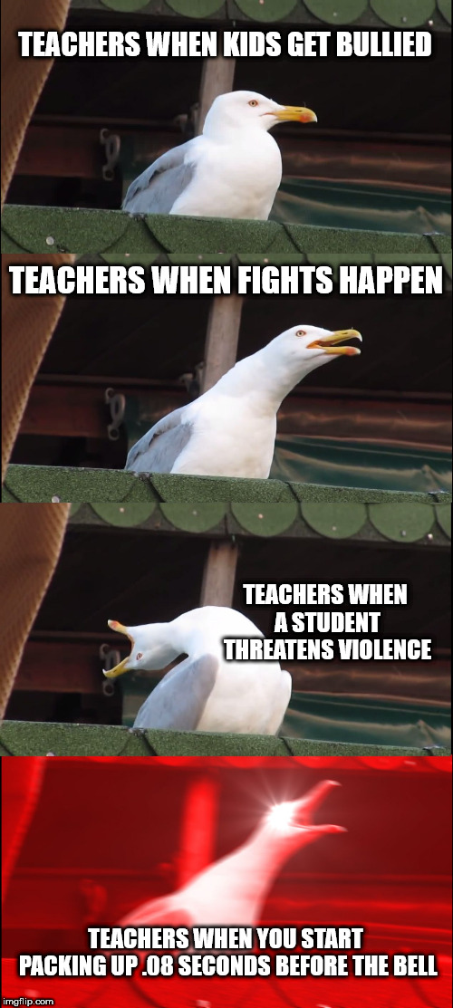Inhaling Seagull | TEACHERS WHEN KIDS GET BULLIED; TEACHERS WHEN FIGHTS HAPPEN; TEACHERS WHEN A STUDENT THREATENS VIOLENCE; TEACHERS WHEN YOU START PACKING UP .08 SECONDS BEFORE THE BELL | image tagged in memes,inhaling seagull | made w/ Imgflip meme maker