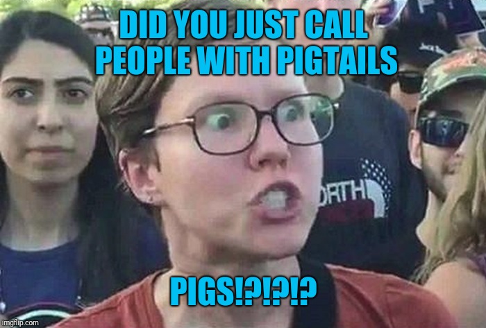 Triggered Liberal | DID YOU JUST CALL PEOPLE WITH PIGTAILS PIGS!?!?!? | image tagged in triggered liberal | made w/ Imgflip meme maker