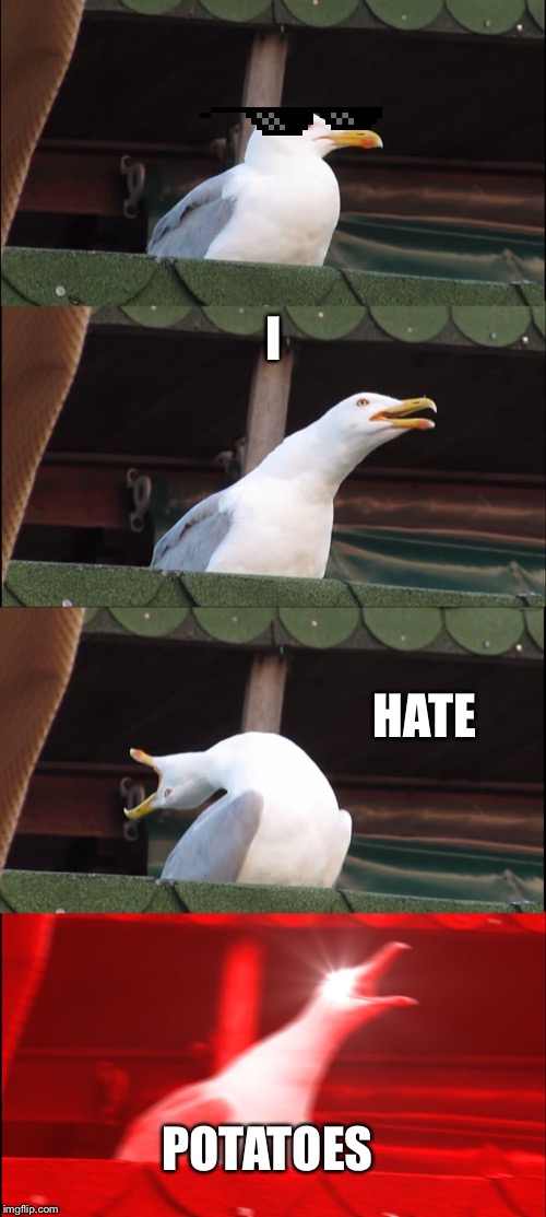 Inhaling Seagull Meme | I; HATE; POTATOES | image tagged in memes,inhaling seagull | made w/ Imgflip meme maker