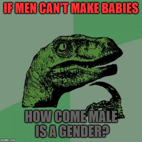 Philosoraptor Meme | IF MEN CAN'T MAKE BABIES; HOW COME MALE IS A GENDER? | image tagged in memes,philosoraptor | made w/ Imgflip meme maker