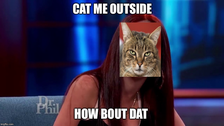 Catch me outside how bout dat | CAT ME OUTSIDE; HOW BOUT DAT | image tagged in catch me outside how bout dat | made w/ Imgflip meme maker