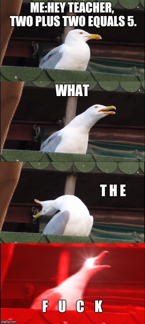 Inhaling Seagull Meme | ME:HEY TEACHER, TWO PLUS TWO EQUALS 5. WHAT; T H E; F    U    C    K | image tagged in memes,inhaling seagull | made w/ Imgflip meme maker