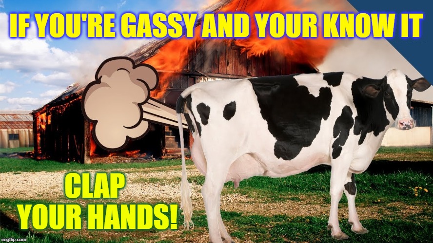 The Chick-Fil-A Cow sez: "Eat More Chikin' " | IF YOU'RE GASSY AND YOUR KNOW IT CLAP YOUR HANDS! | image tagged in vince vance,go vegan,no more meat,meat industry,cattle farmers,cow farts | made w/ Imgflip meme maker
