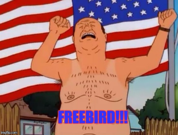There Is Always At Least One | FREEBIRD!!! | image tagged in free,bird,king of the hill,bill | made w/ Imgflip meme maker