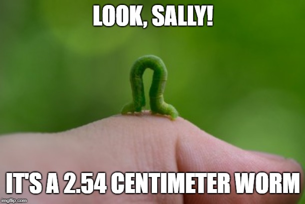 LOOK, SALLY! IT'S A 2.54 CENTIMETER WORM | made w/ Imgflip meme maker