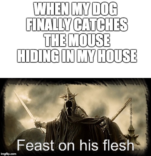 LOTR Nazgul | WHEN MY DOG FINALLY CATCHES THE MOUSE HIDING IN MY HOUSE; Feast on his flesh | image tagged in nazgul coffee,lord of the rings,funny,memes,funny memes,funny meme | made w/ Imgflip meme maker