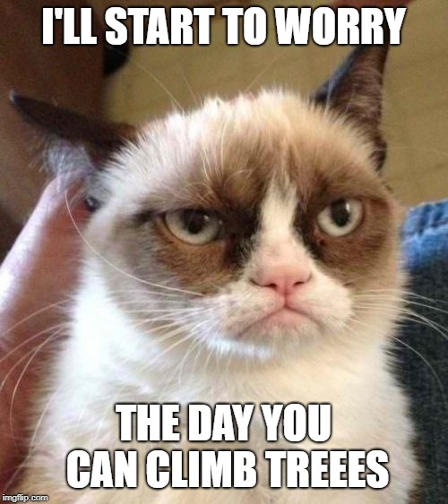 Grumpy Cat Reverse Meme | I'LL START TO WORRY THE DAY YOU CAN CLIMB TREEES | image tagged in memes,grumpy cat reverse,grumpy cat | made w/ Imgflip meme maker