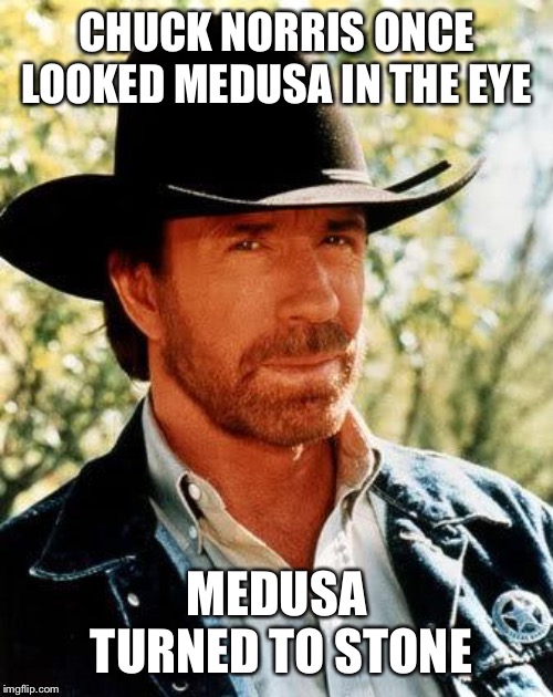 Chuck Norris | CHUCK NORRIS ONCE LOOKED MEDUSA IN THE EYE; MEDUSA TURNED TO STONE | image tagged in memes,chuck norris,medusa | made w/ Imgflip meme maker
