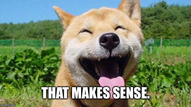 Laughing Dog | THAT MAKES SENSE. | image tagged in laughing dog | made w/ Imgflip meme maker