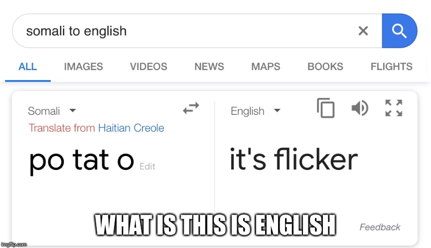 WHAT IS THIS IS ENGLISH | image tagged in google translate,potato | made w/ Imgflip meme maker