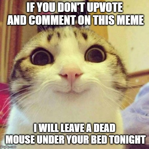 Smiling Cat | IF YOU DON'T UPVOTE AND COMMENT ON THIS MEME; I WILL LEAVE A DEAD MOUSE UNDER YOUR BED TONIGHT | image tagged in memes,smiling cat | made w/ Imgflip meme maker