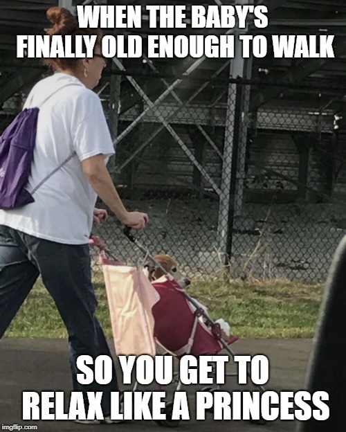 Dog walker | WHEN THE BABY'S FINALLY OLD ENOUGH TO WALK SO YOU GET TO RELAX LIKE A PRINCESS | image tagged in dog walker | made w/ Imgflip meme maker