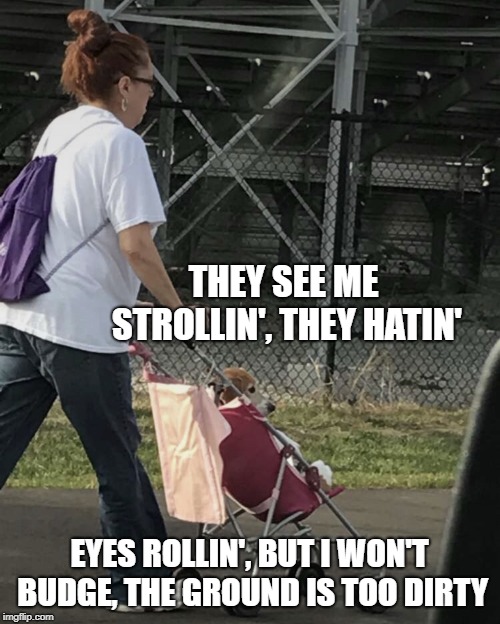 Dog walker | THEY SEE ME STROLLIN', THEY HATIN' EYES ROLLIN', BUT I WON'T BUDGE, THE GROUND IS TOO DIRTY | image tagged in dog walker | made w/ Imgflip meme maker