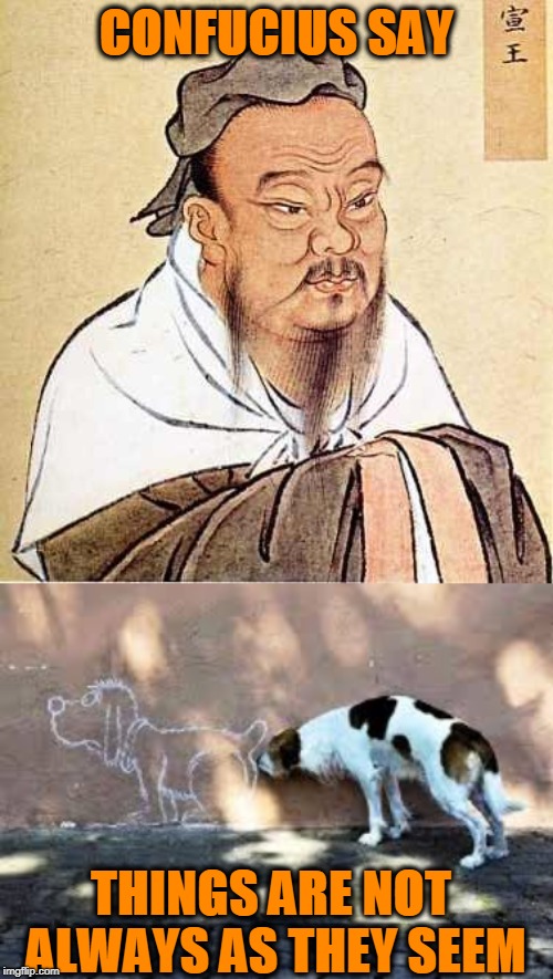 Doggo Week | CONFUCIUS SAY; THINGS ARE NOT ALWAYS AS THEY SEEM | image tagged in doggo week,confucius say | made w/ Imgflip meme maker
