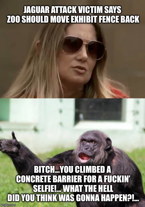 Arizona Zoo Jaguar Attack Victim Meme | JAGUAR ATTACK VICTIM SAYS ZOO SHOULD MOVE EXHIBIT FENCE BACK; BITCH...YOU CLIMBED A CONCRETE BARRIER FOR A FUCKIN’ SELFIE!... WHAT THE HELL DID YOU THINK WAS GONNA HAPPEN?!... | image tagged in arizona,zoo,jaguar,attack | made w/ Imgflip meme maker