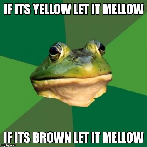 Foul Bachelor Frog | image tagged in memes,foul bachelor frog | made w/ Imgflip meme maker