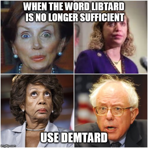 Crazy Democrats | WHEN THE WORD LIBTARD IS NO LONGER SUFFICIENT; USE DEMTARD | image tagged in crazy democrats | made w/ Imgflip meme maker