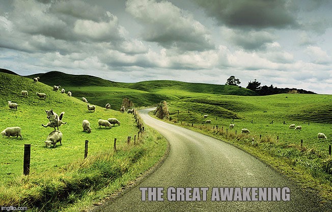 #THEGREATAWAKENING  | THE GREAT AWAKENING | image tagged in the great awakening | made w/ Imgflip meme maker